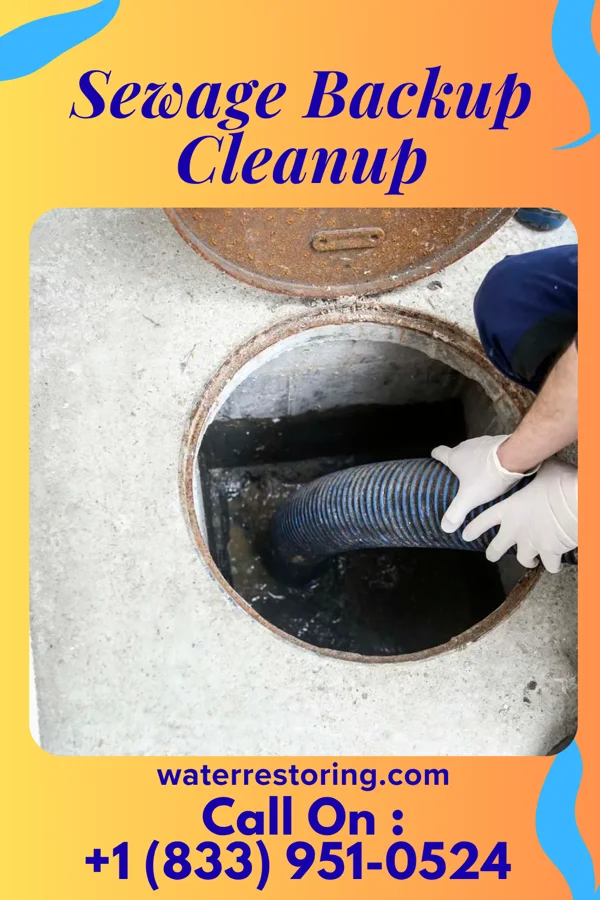 Sewage Backup Cleanup in Sutherland, IA